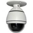 Ceiling Mount Speed Dome